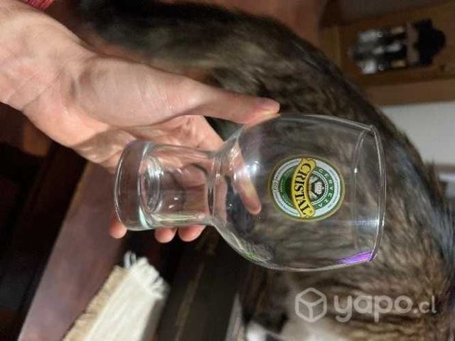 Vaso cervecero