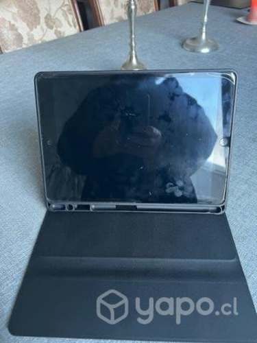 Ipad excelente estado