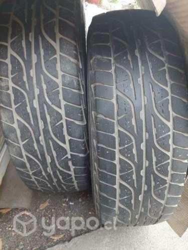 Dos Neumaticos aro 16