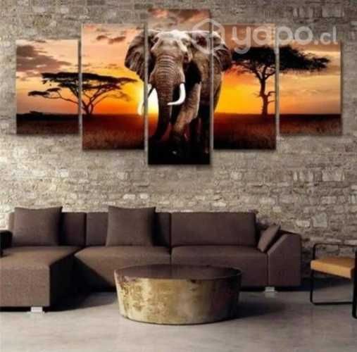 Cuadros decorativos y personalizados