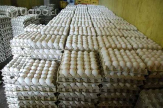 Huevos por mayor a domicilio