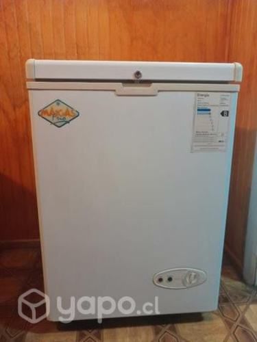 Freezer congelador