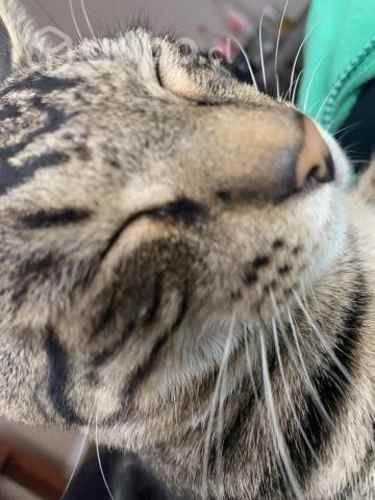 Vendo Chevrolet spark ctm 2016