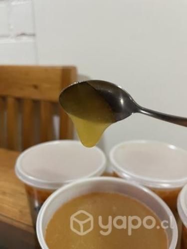 Miel multifloral pura de temporada