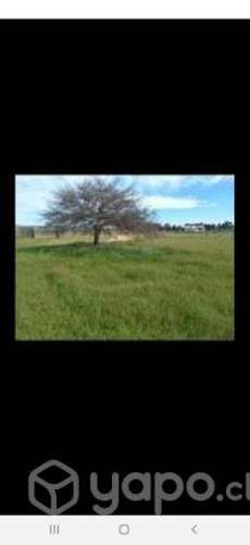 PARCELA totalmente plana 5.000m2