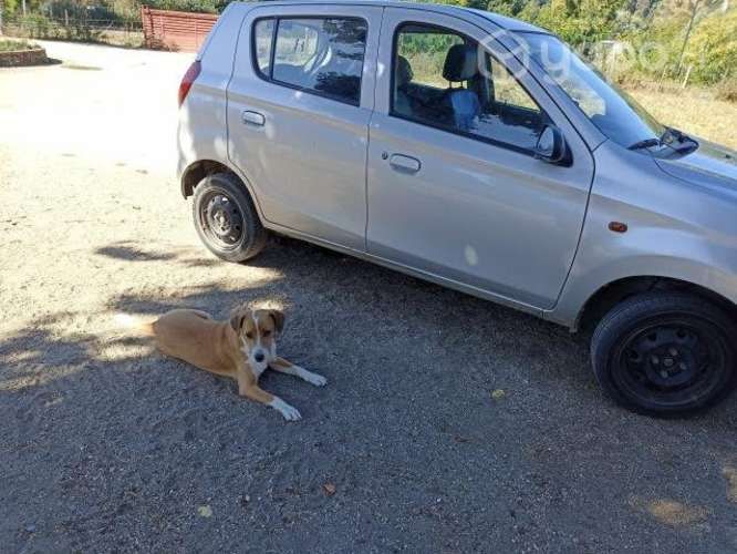 Auto Suzuki alto en buen estado