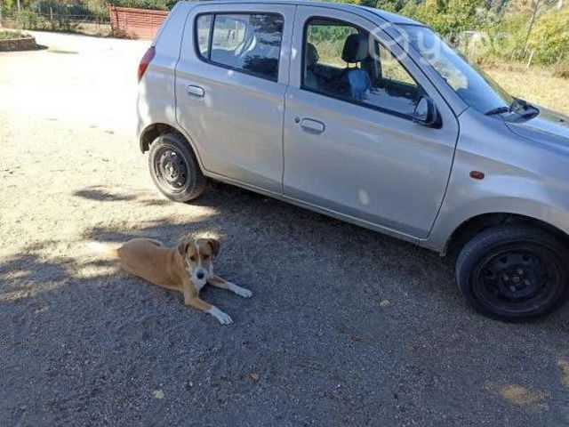 Auto Suzuki alto en buen estado