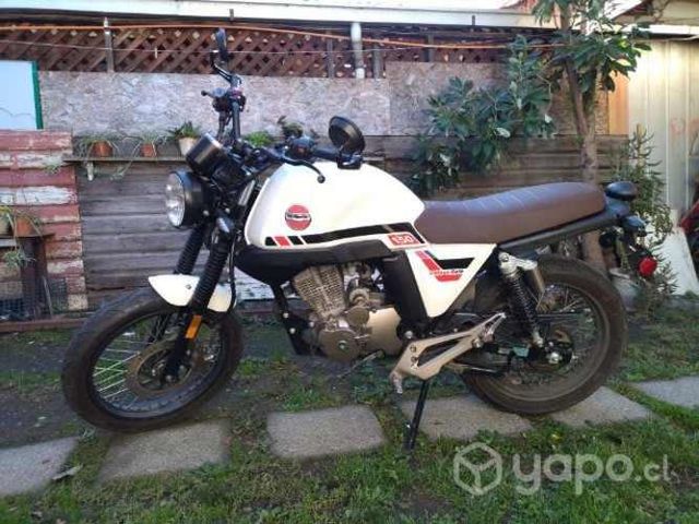 Moto euromot vintage cafe 2022