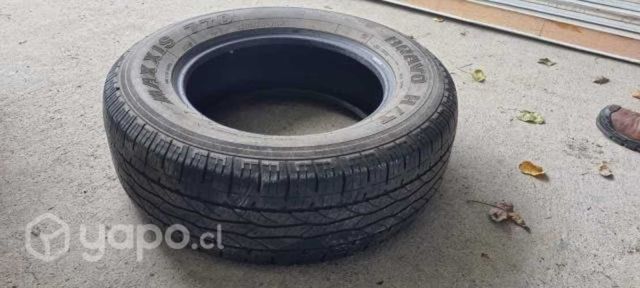 Neumaticos marca Maxxis