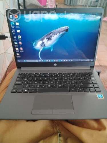 Netbook hp