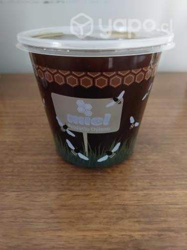 MIEL 100% NATURAL Zona Norte Stgo