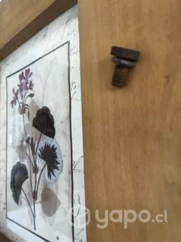 Cuadro flores secas