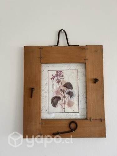 Cuadro flores secas