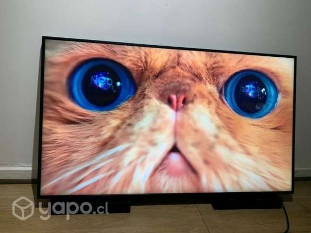 Pantalla Comercial SAMSUNG 55&quot; QM55R