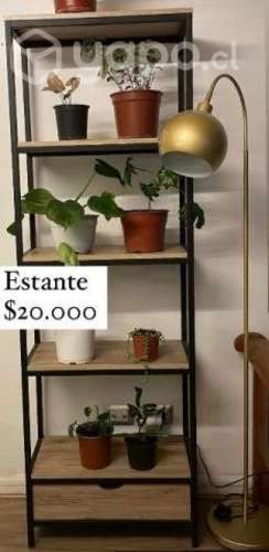 Estante