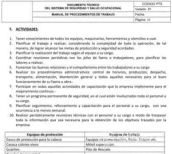 Libro Procedimientos de Trabajo Seguro