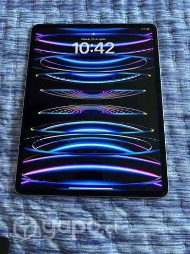 IPad Pro de 12,9" de 256 GB
