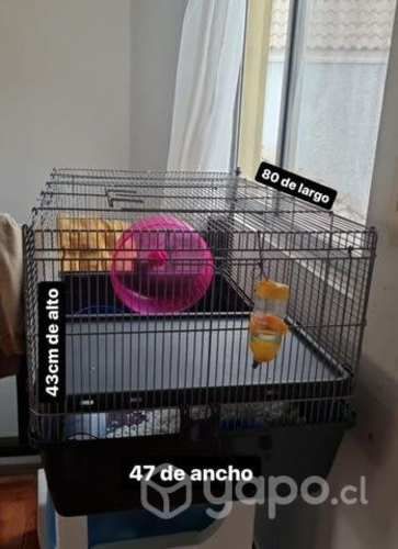 Jaula para Exóticos pequeños