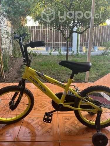 Bicicleta para niño o niña