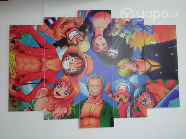 Cuadro de one piece