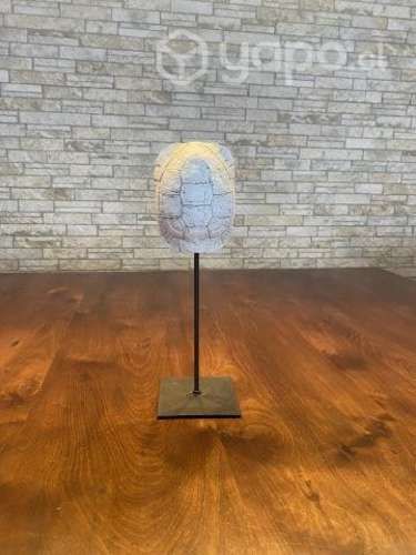 Escultura caparazón de Tortuga decoración. Nueva