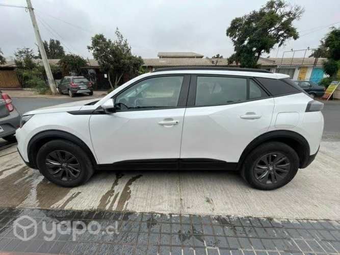 Regalona Pegeout 2008