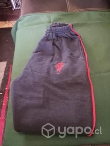 Pantalón de buzo y polera liceo Lastarria