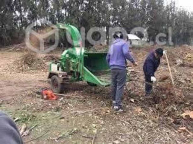 Retiro de ramas con chipeadora