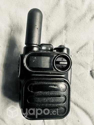 Global Ptt oportunidad