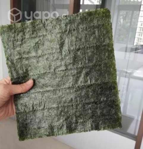Alga nori Gold premium