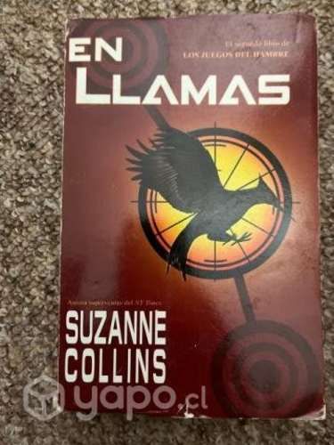 Libros lectura estudiantes y pasatiempos