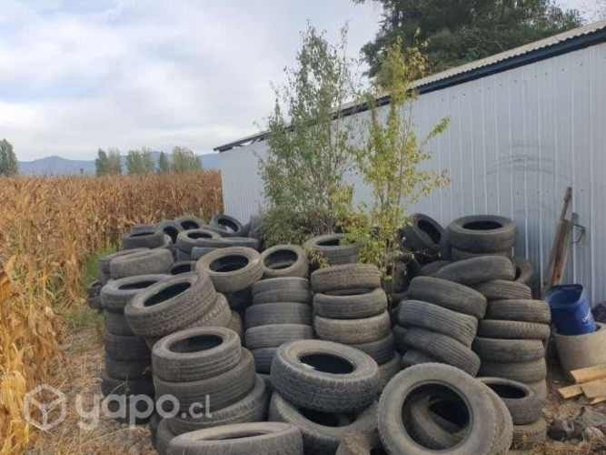 Se regalan neumáticos