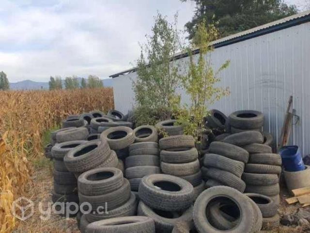 Se regalan neumáticos