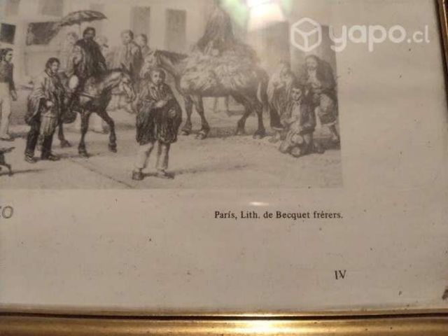 Grabados antiguos de Claudio Gay