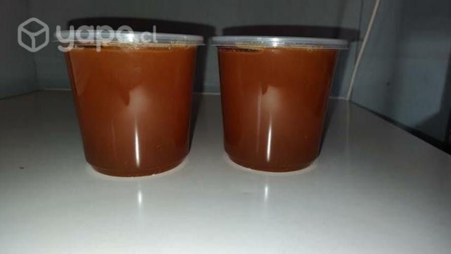 Miel viva sin aditivos pura avejas