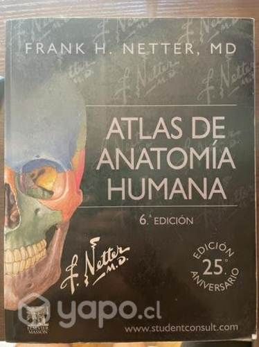 Anatomía Humana Netter 6ta edición