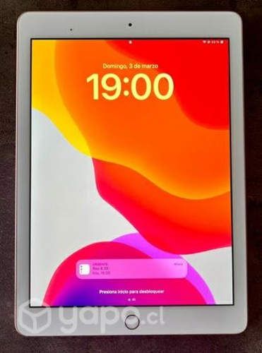 Ipad 6ta generación (2018) + Cargador original