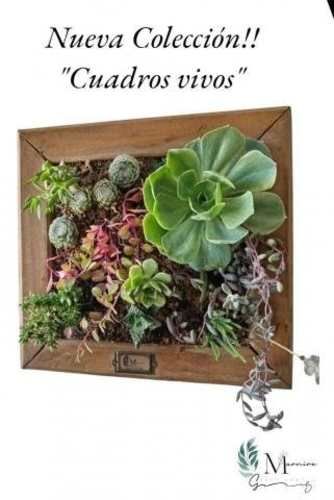 Cuadro Naturaleza Viva