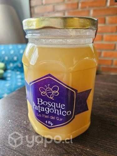 Miel de ULMO Bosque Patagónico