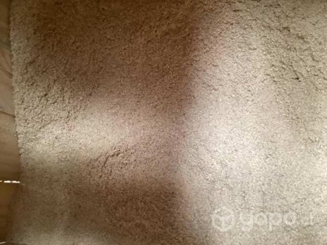 Polvo re tape para maderas