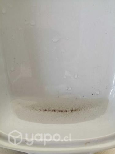 Foton midi 2022 refritruck 1.3