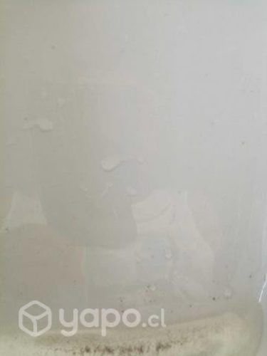 Foton midi 2022 refritruck 1.3