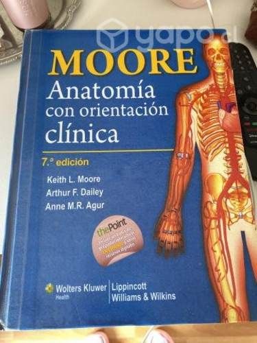 Moore anatomia clinica