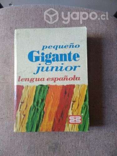 Diccionario en buen estado,disponibles