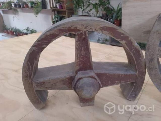 Hermosas ruedas de maderas decorativas para