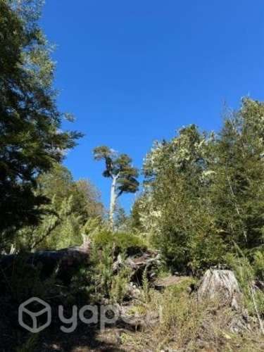 Permuto camioneta y parcela por tolva 16 m3, Retro