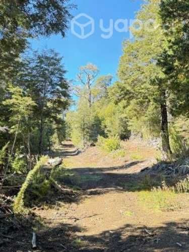 Permuto camioneta y parcela por tolva 16 m3, Retro