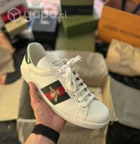 Zapatillas Gucci arce originales