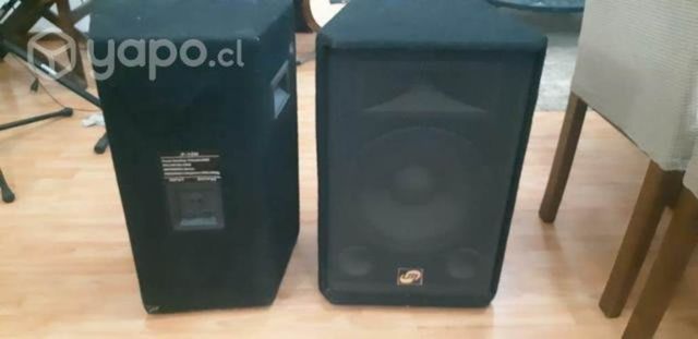 Par de Parlantes pasivos LM.