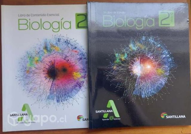 Santillana 2 medio. Filosofia Matematica Historia